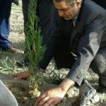 نماینده مردم شهرستان لنجان در مجلس شورای اسلامی غرس یک درخت هم توصیه شده و هم ثواب بیشماری دارد
